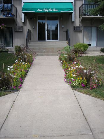 956 Place apartments in Forest Lake